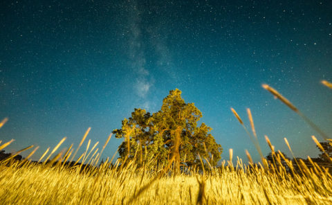Worm's Eye View of the Cosmos