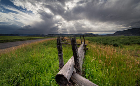 Storm Clearing at the Fence Line
