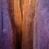 Light Filtering Through Catherdral Gorge