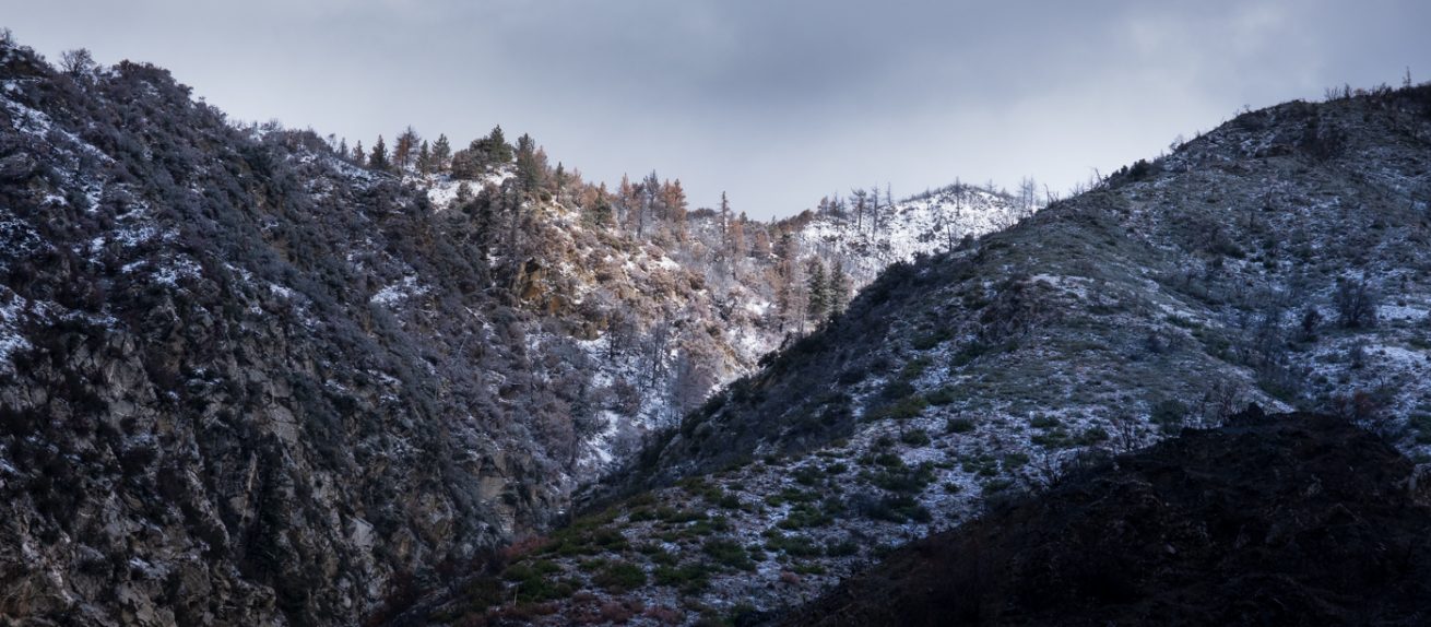 Snow Dusting, San Bernardino Mountains