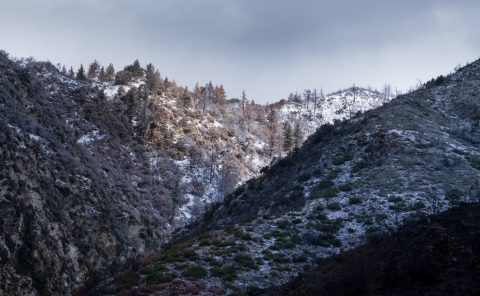 Snow Dusting, San Bernardino Mountains