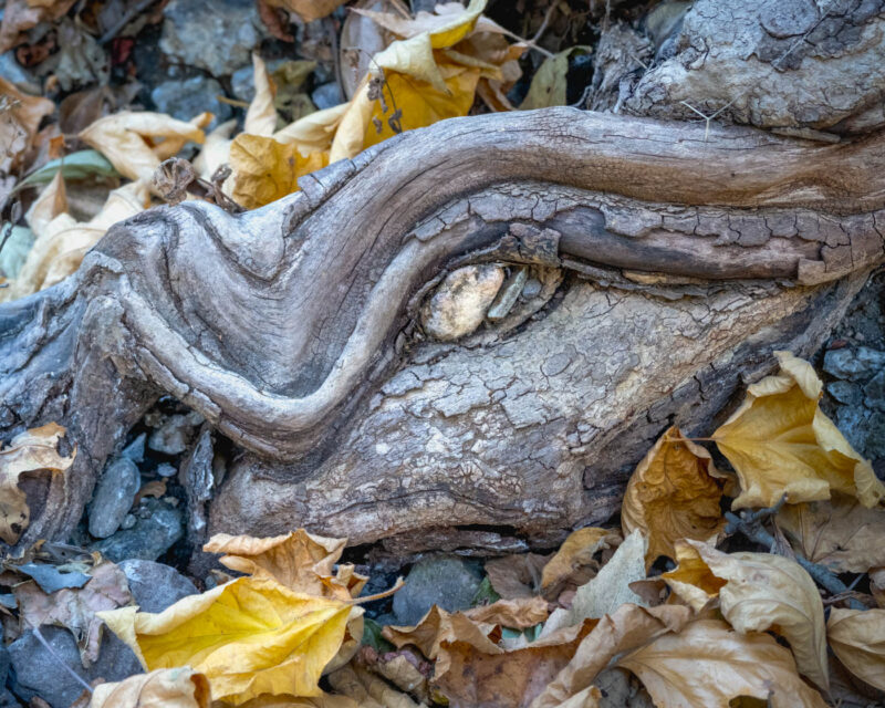 The Slumbering Dragon Awakes